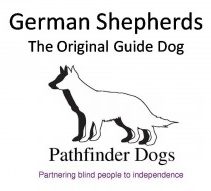 German Shepherds: The Original Guide Dog - Pathfinder Dogs: Partnering blind people to independence